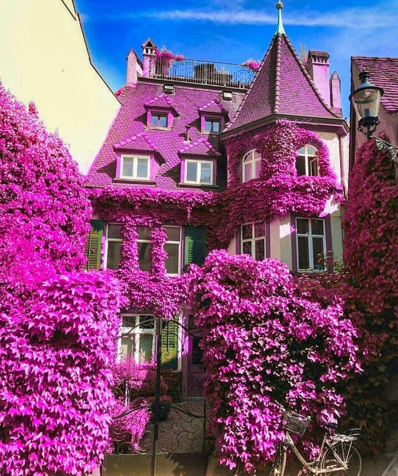 Домик в цветах