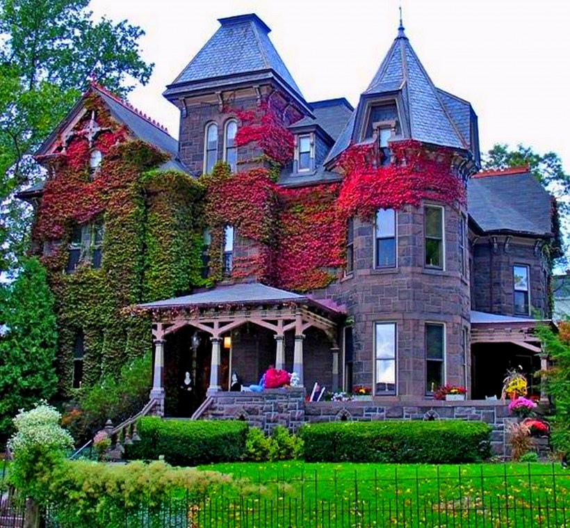 Готический дом с растениями