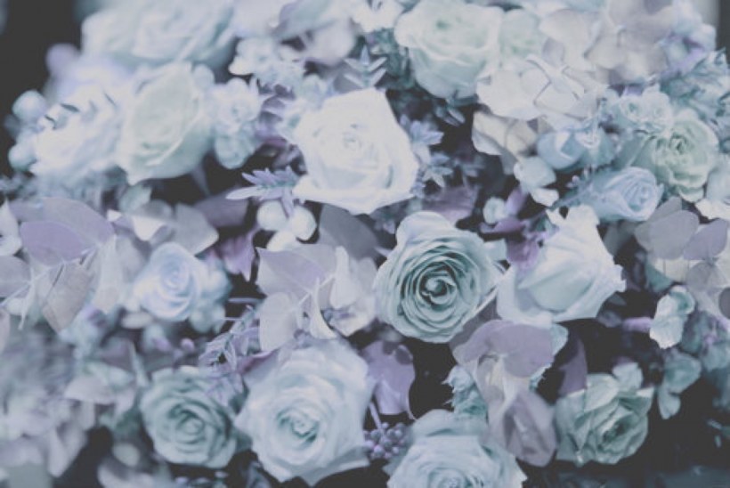 Голубые ногти Эстетика