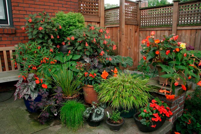 Цветники в контейнерах