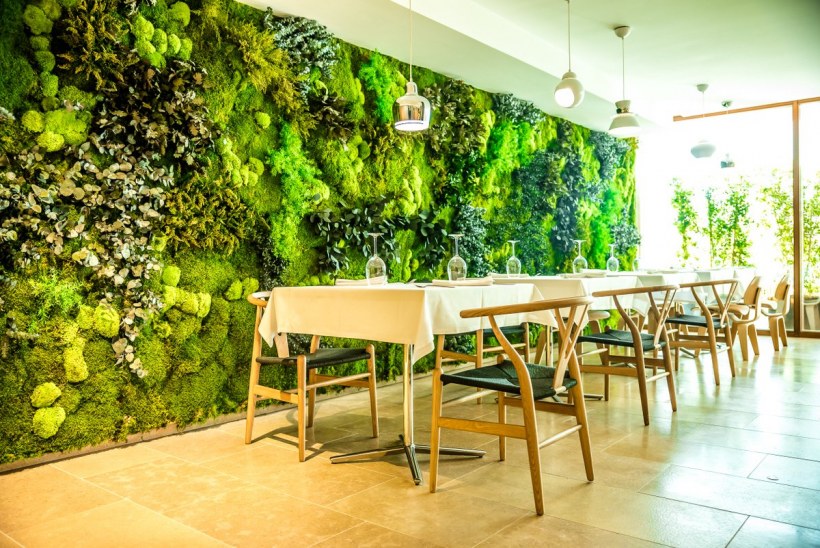 Зелень в интерьере кафе
