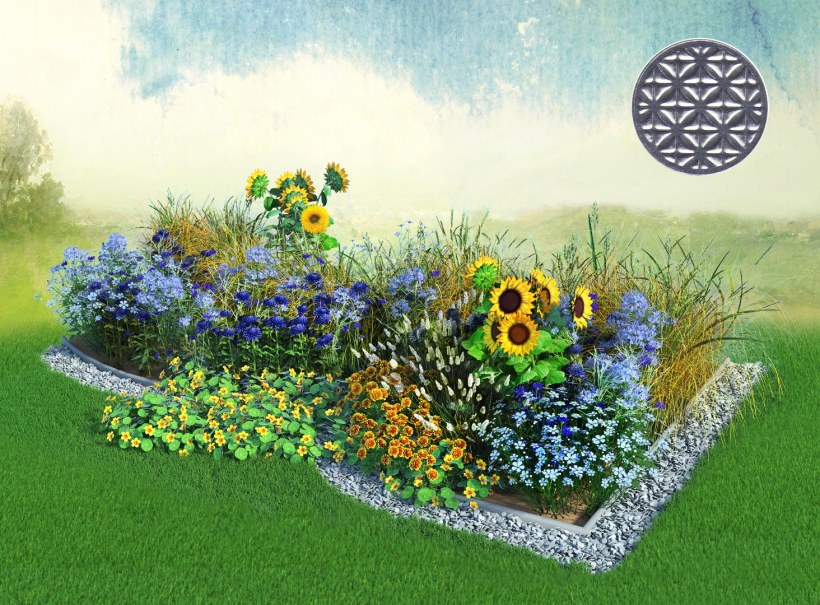 Набор цветов для клумбы