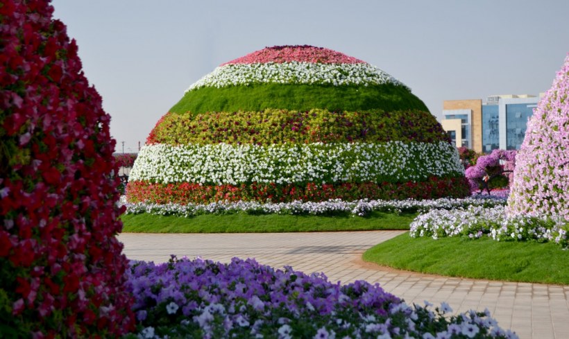 Миракл Гарден клумбы