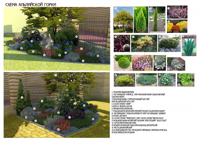 Готовые композиции в ландшафтном дизайне