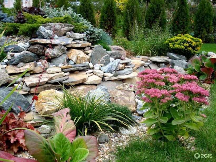 Альпийская горка цветы