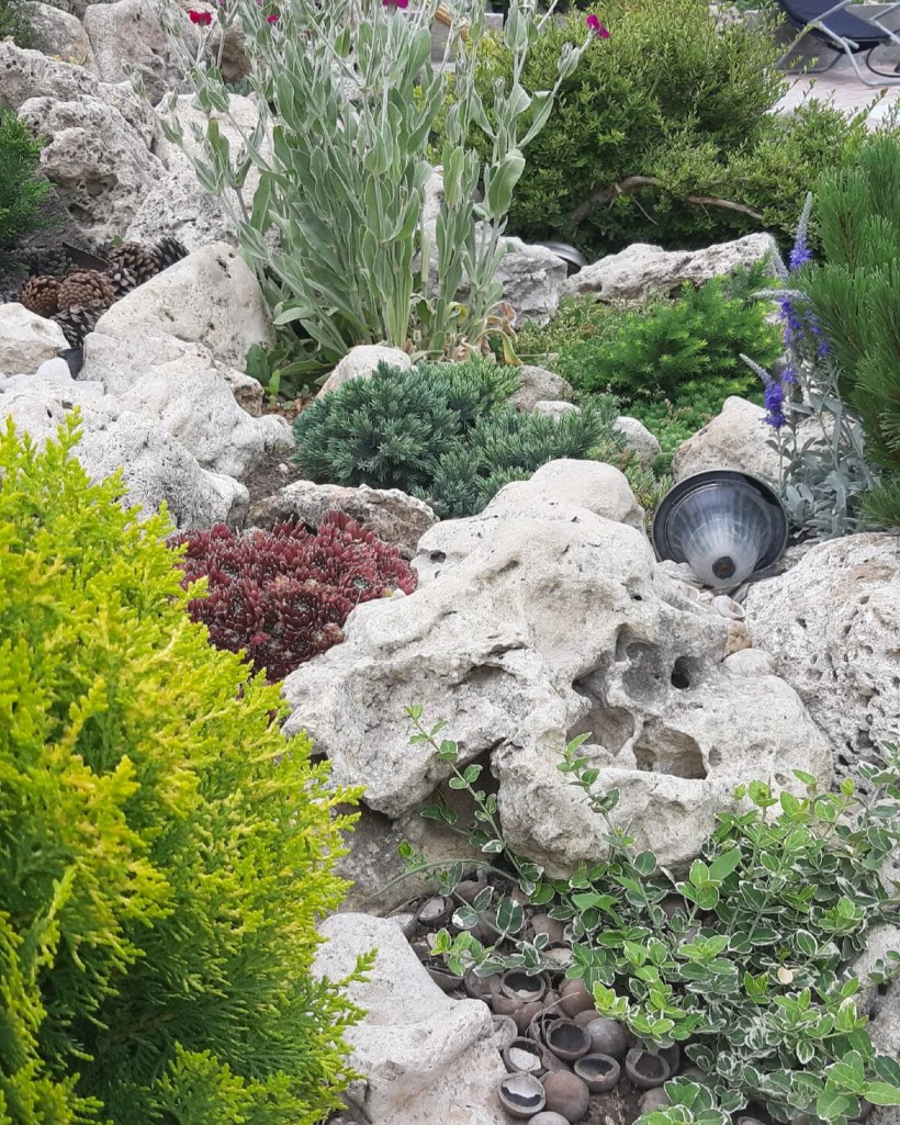 Рокарий с альпийской горкой