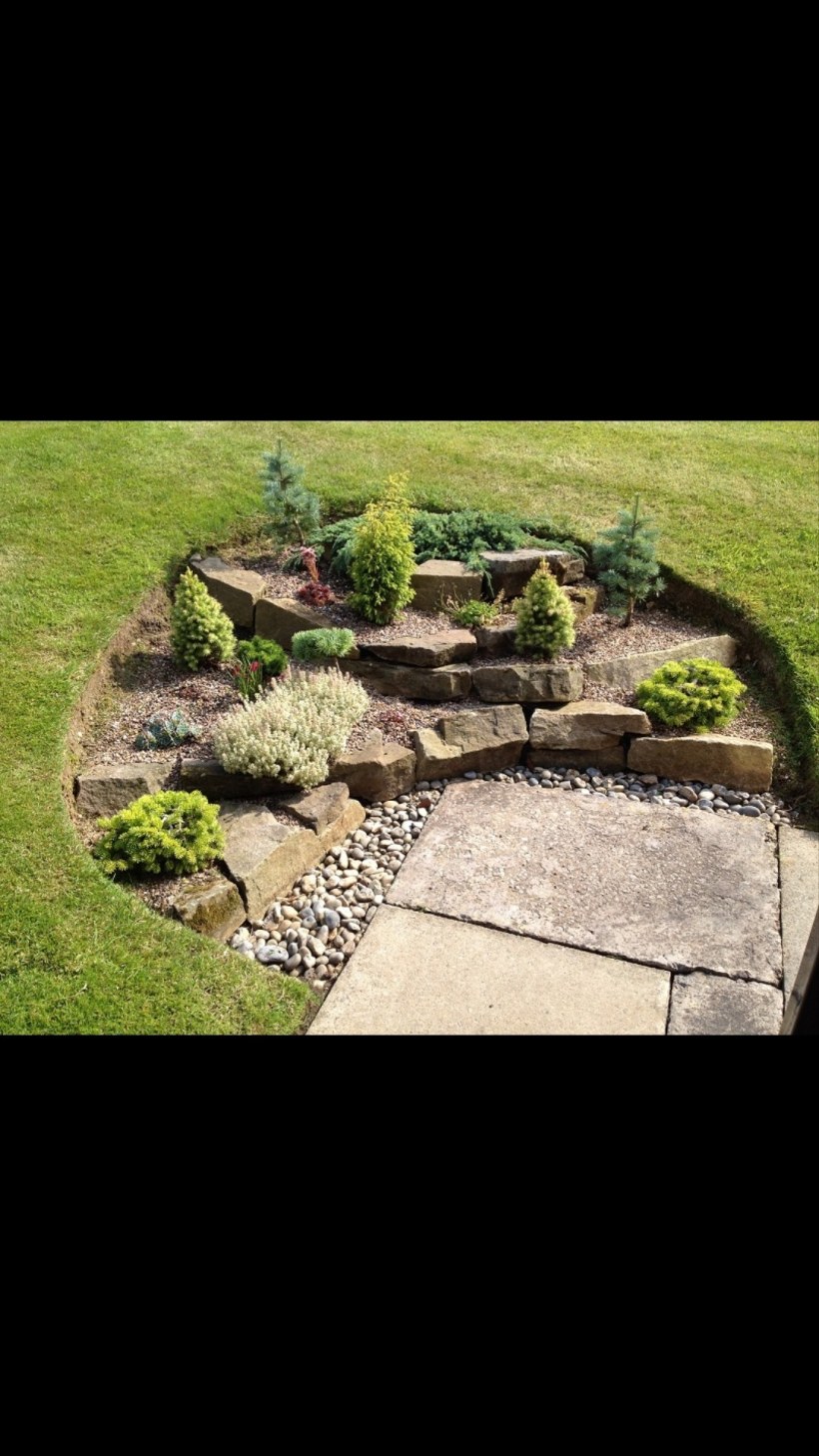 Схема цветника Барбарис, спирея