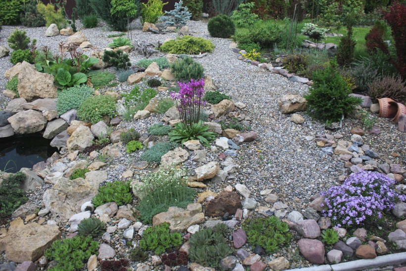 Сухой ручей на альпийской Горке