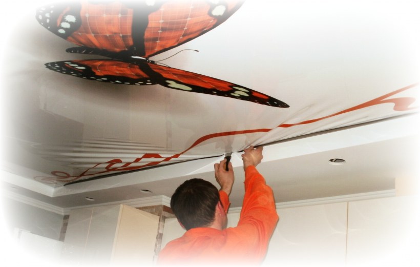 Идеи натяжных потолков