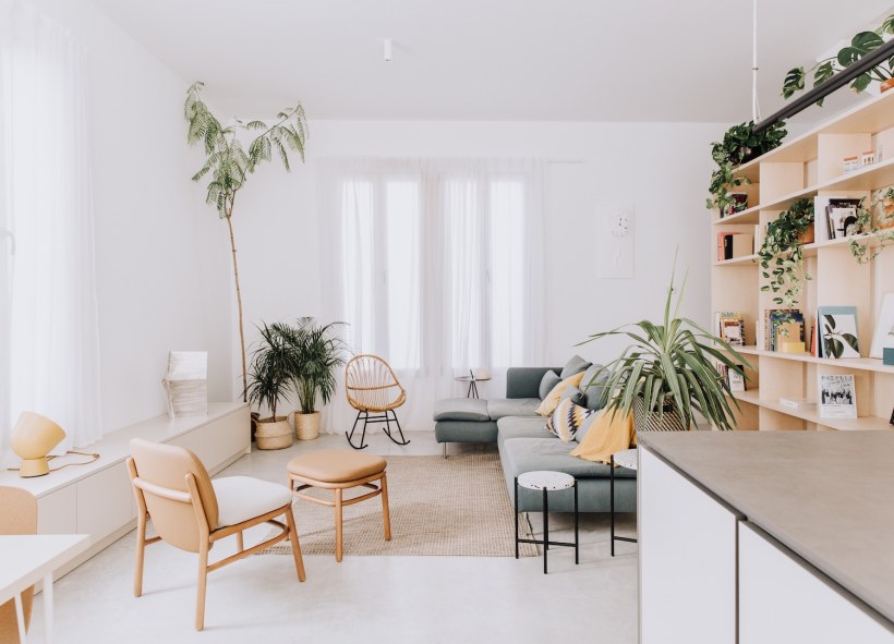 Растения в интерьере Минимализм