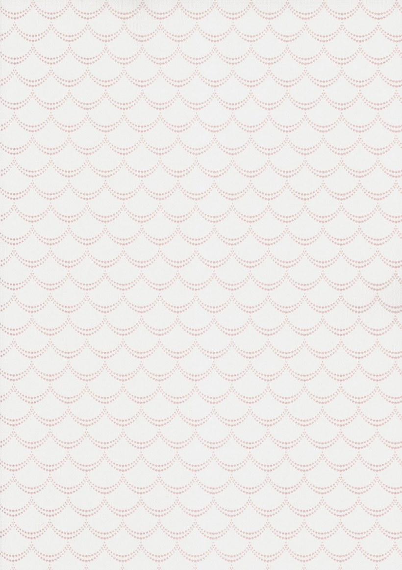 Andrea Rossi Pianosa 54165-3