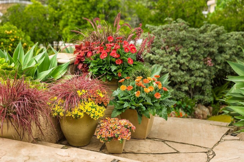 Вазоны с цветами в саду
