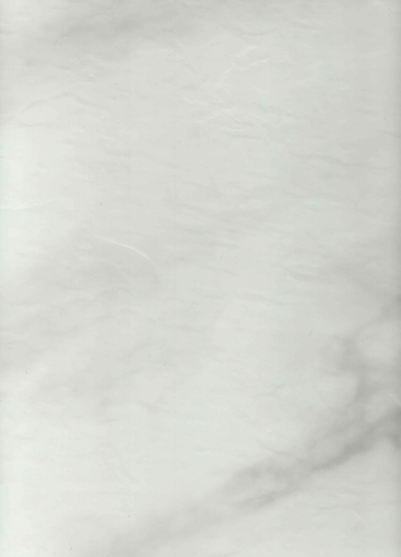 Кварцевый ламинат Fargo 6089-1