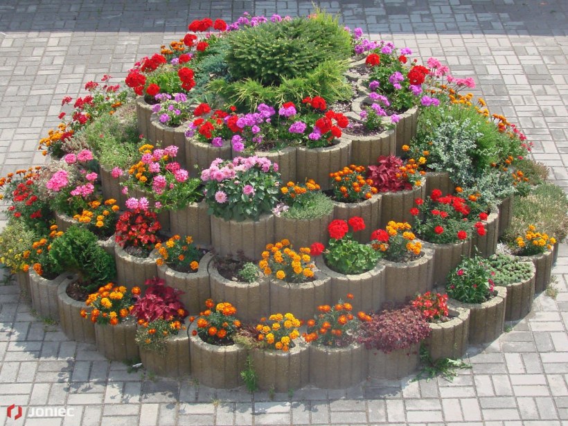 Клумбы и цветники