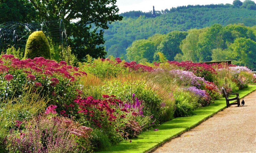 Питер Удольф ландшафт