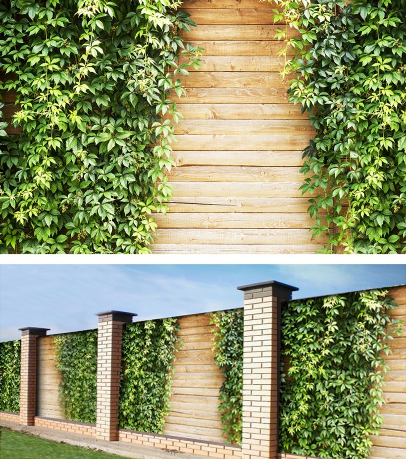 Фотозабор ПВХ фотосетка