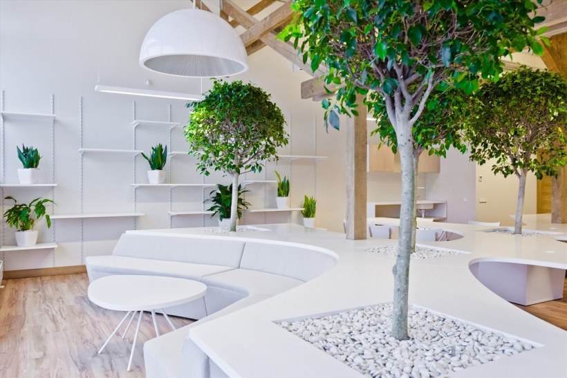 Greenery Озеленение интерьера