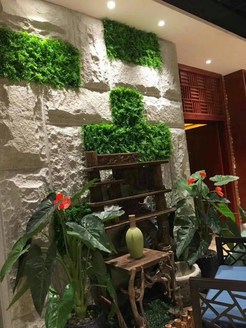 Декоративное Озеленение в комнатах