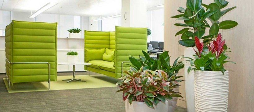 Фитодизайн в интерьере