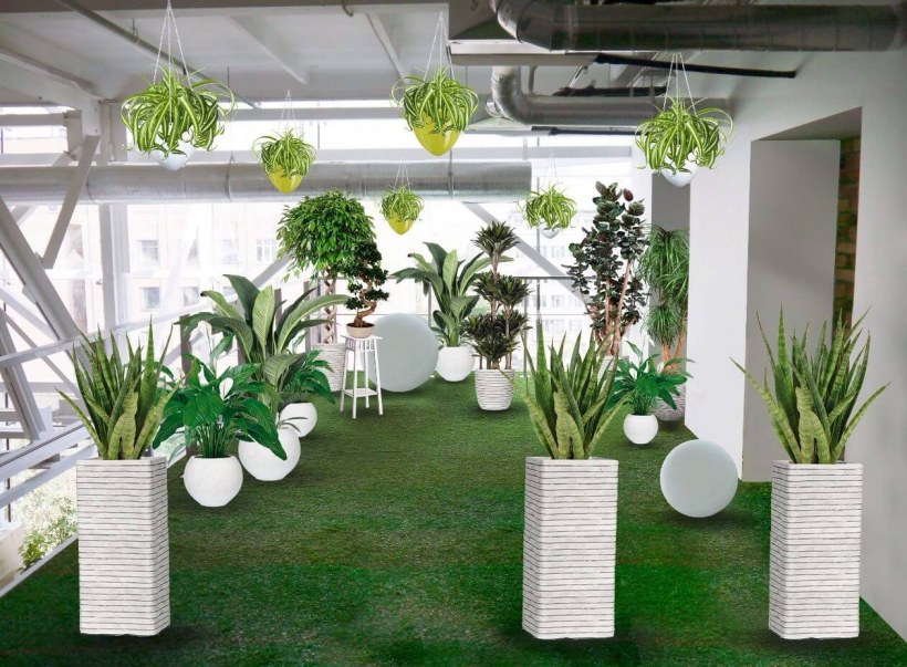 Проект Озеленение помещения