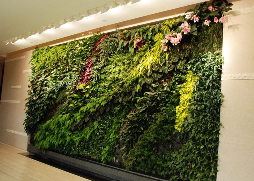 Лиана Грин вертикальное Озеленение