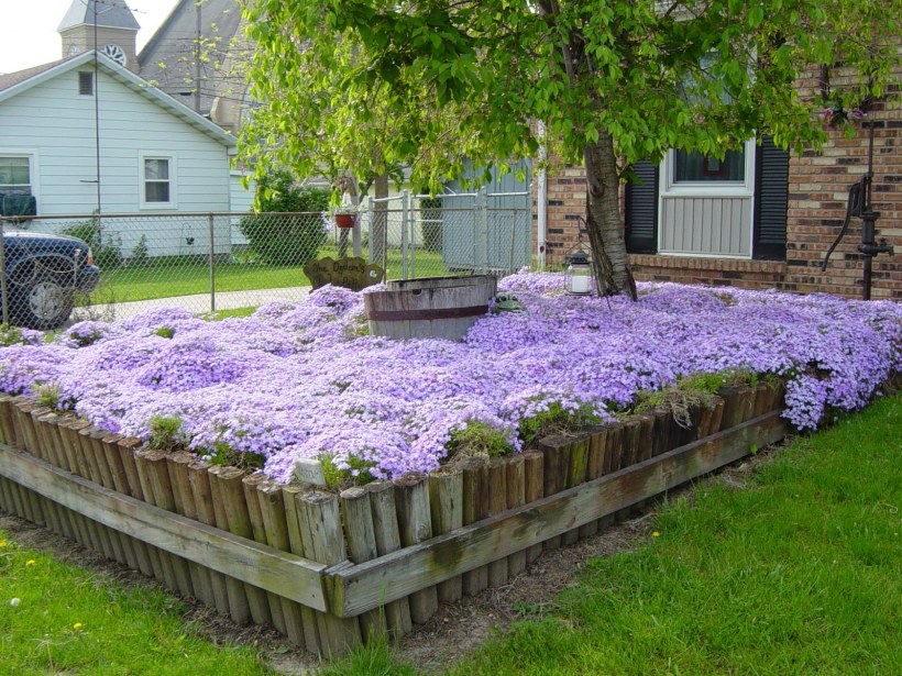 Клумбы, рокарии, рабатки