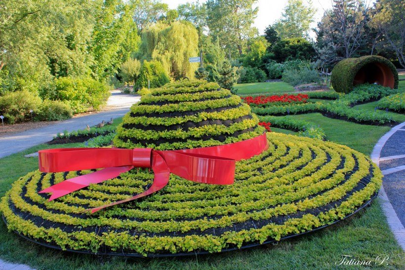 Партер цветник