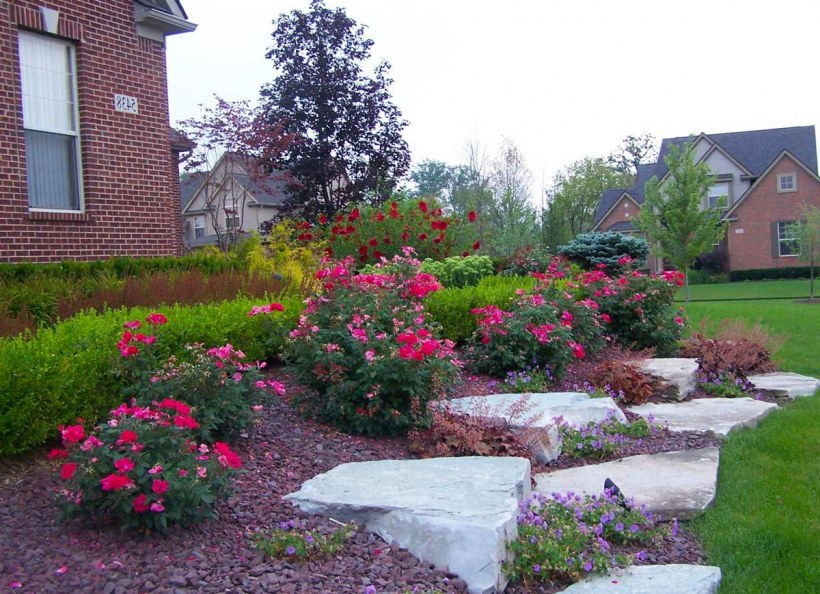 Цветник розарий розарий цветник