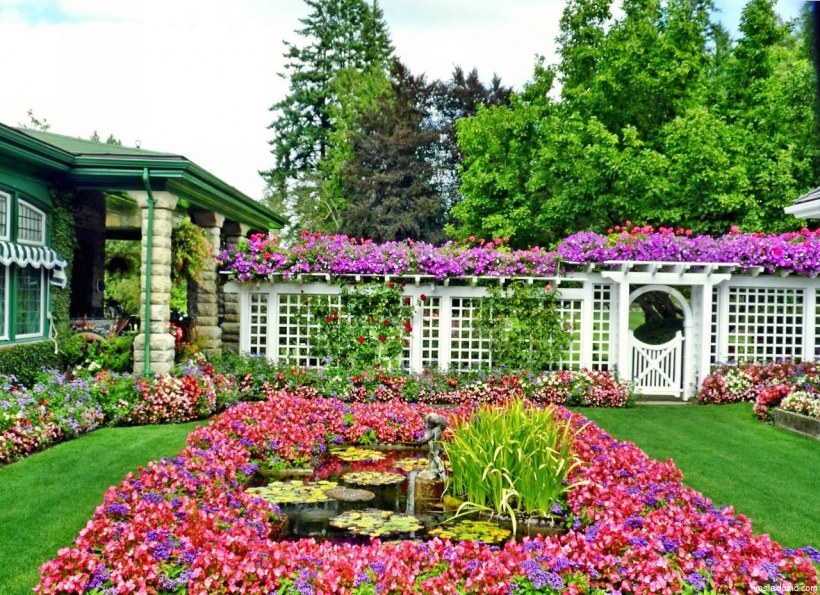 Красивые цветники