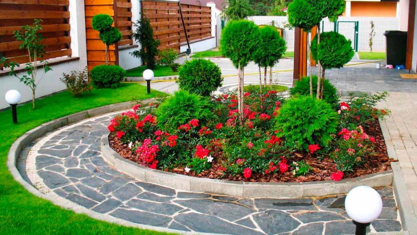 Входная зона с хвойниками