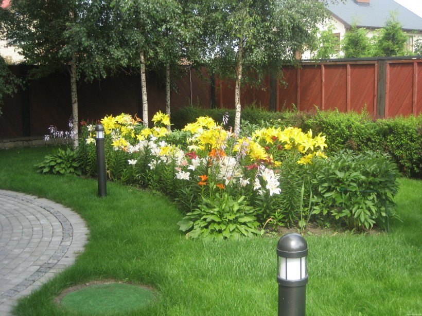 Цветник на участке своими руками