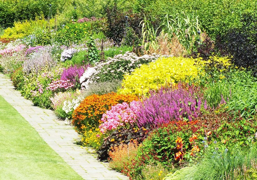 Луговой миксбордер