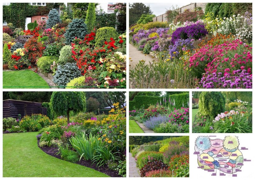 Формы миксбордеров