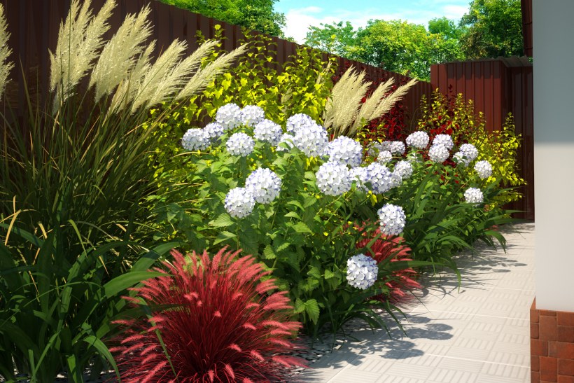 Приствольный миксбордер