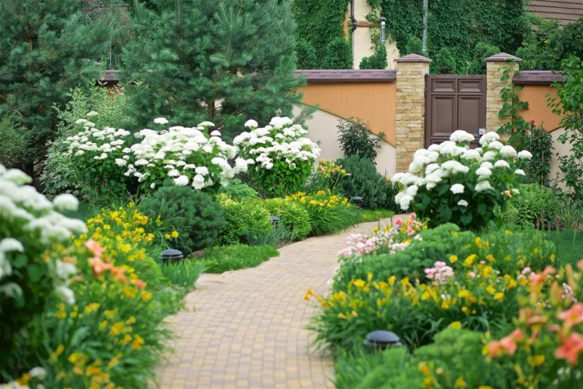 Огородный миксбордер