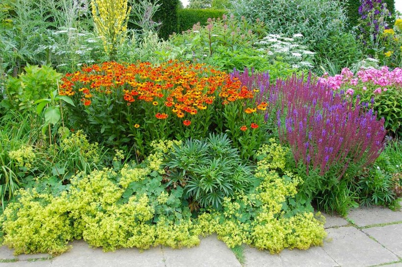 Каменистый миксбордер