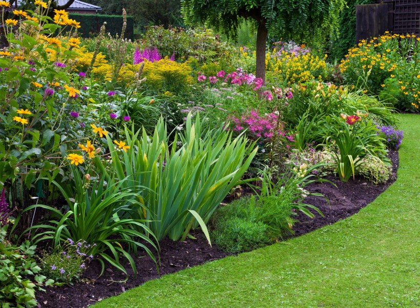 Прямоугольный миксбордер