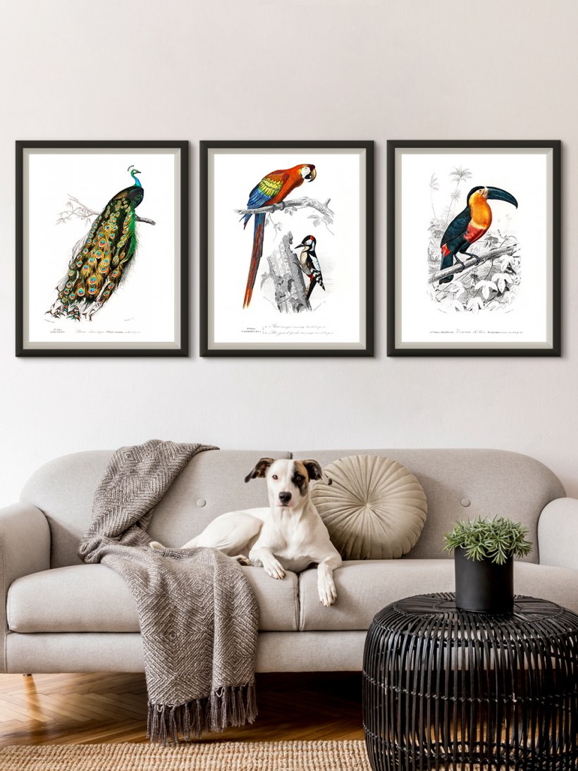 Постеры для интерьера