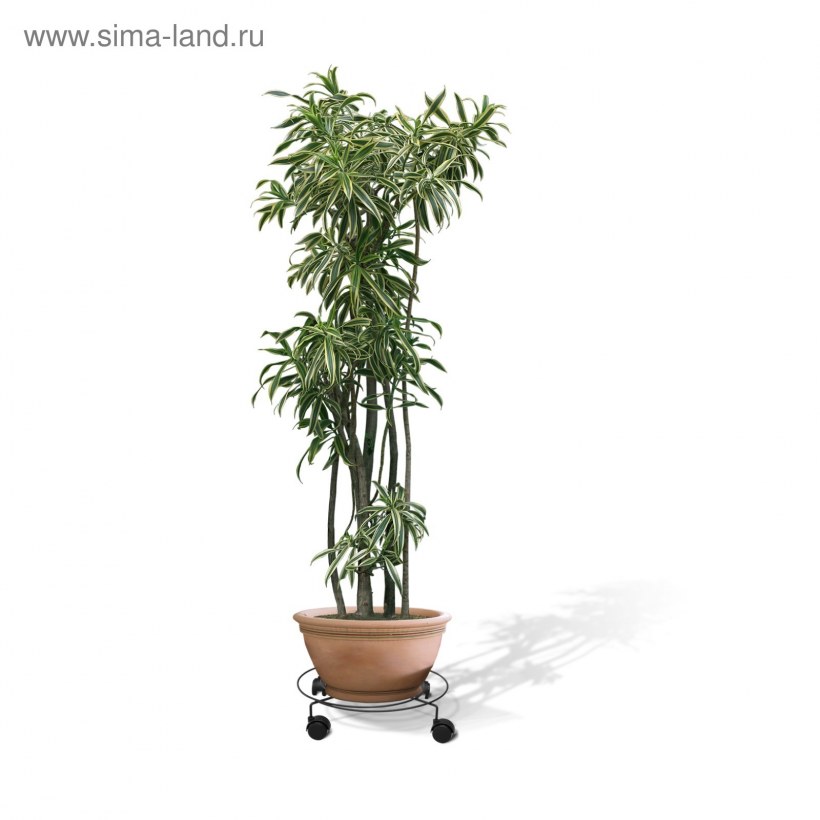 Подцветочница Пальмина 3