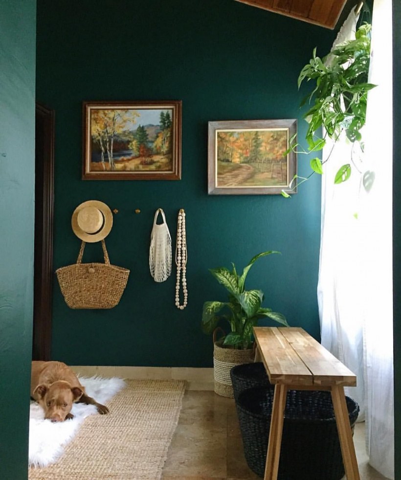 Зеленые стены в коридоре