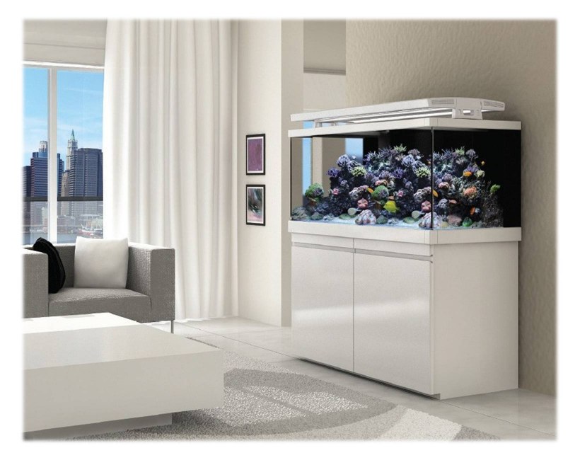 Аквариум в классическом интерьере