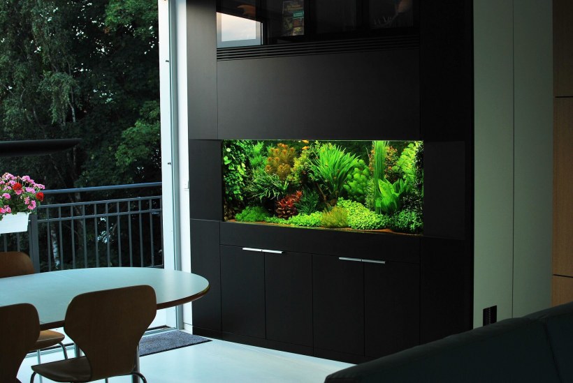 130 Литров аквариум псевдоморе