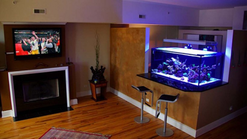 Зонирование аквариумом