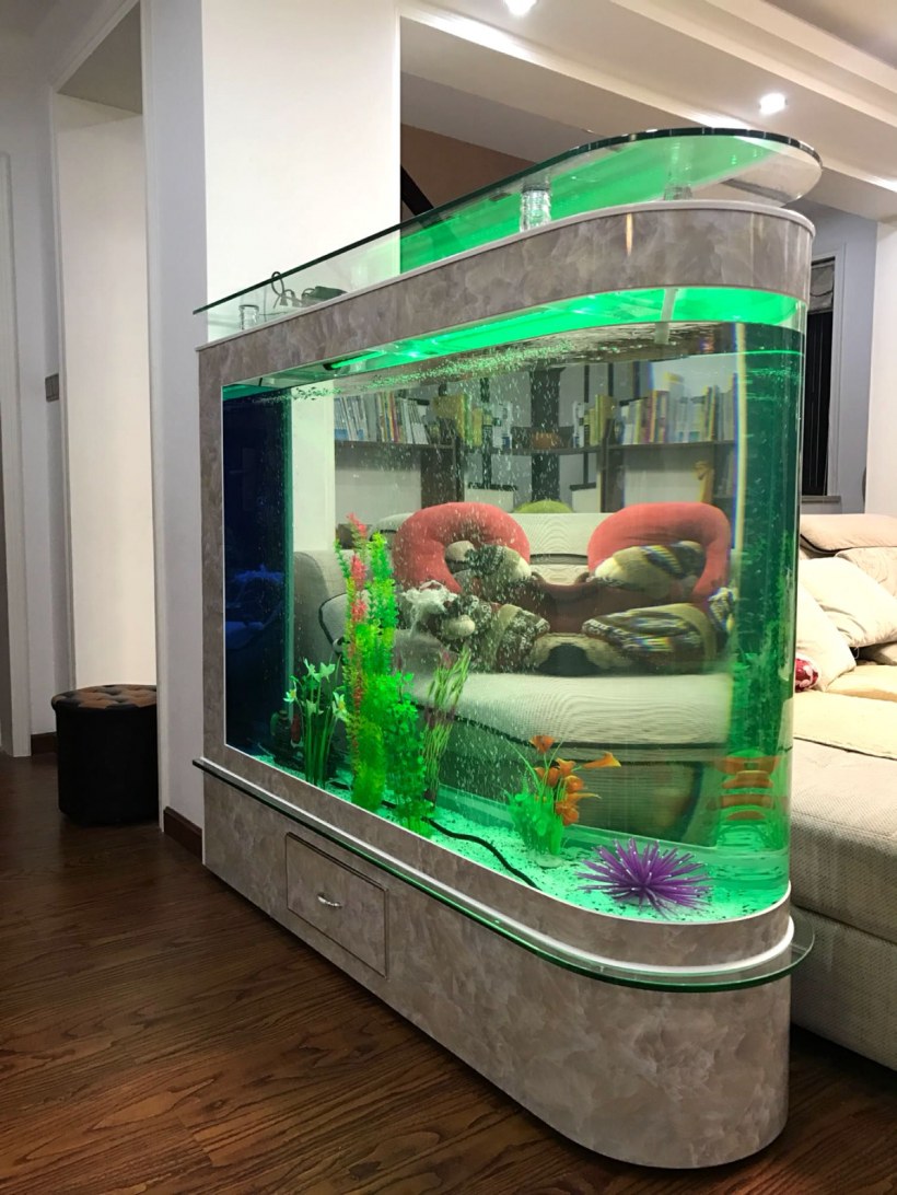 Аквариум в гостиной