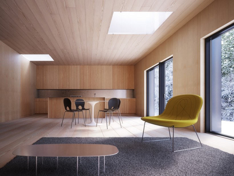 Одноэтажный дом без потолка