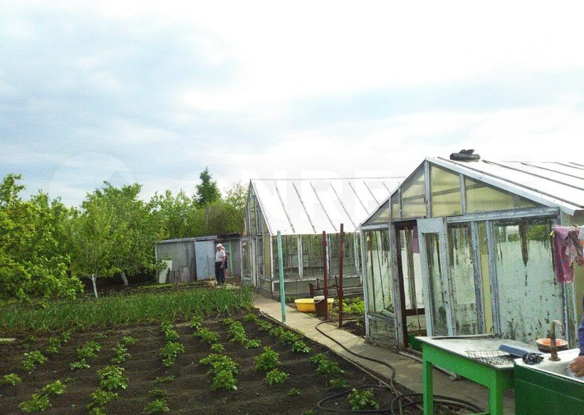 Зелёная даль 1 Тольятти