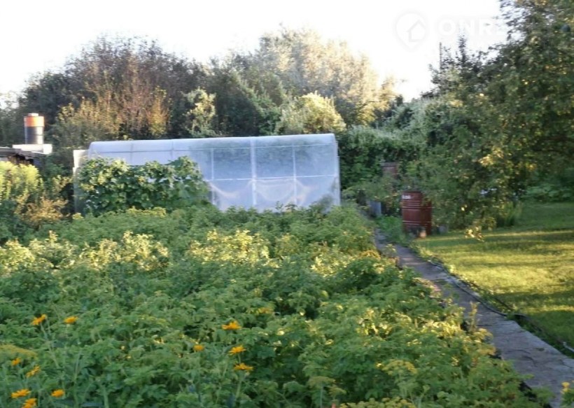 Вид за окном