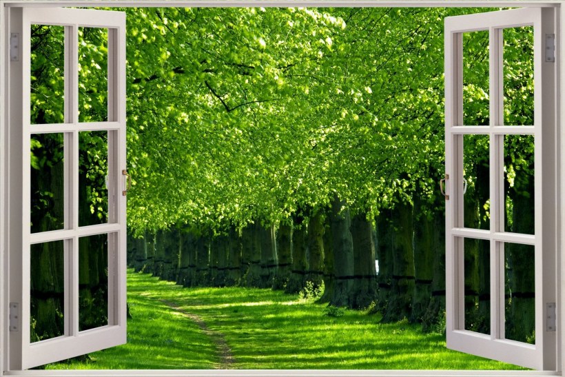 Вид из окна