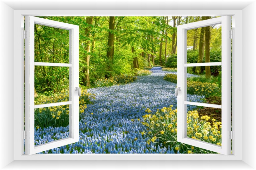 Весеннее окно