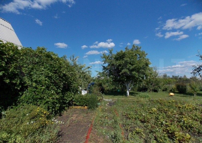 Выселки зеленая даль массив 1 Тольятти